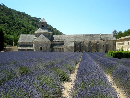 de romaanse cistercinzerabdij van Snanque (de Franse Provence) temidden van de lavendel-velden