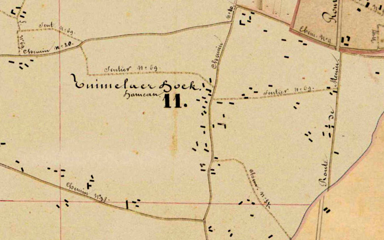 Gedetailleerde kijk op enkele wegen en wandelpaden op de Tuimelaer Hoek (Atlas der Buurtwegen, 1842).