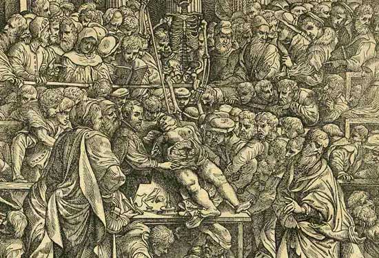 Anatomieles van de beroemde Vlaamse arts en anatoom A. Vesalius. Jan Van Calcar, 1543. Ets op kaft van Vesalius' 'De corporis humani fabrica libri septem', het eerste complete handboek over anatomie.