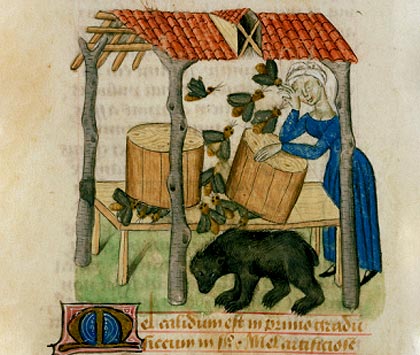 Het verzamelen van honing in bijenkorven. Miniatuur, 14de eeuw. Modena, Biblioteca Estense