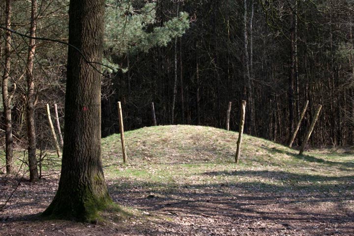 Grafheuvel in het bos. Halfmijl, bij Veldhoven. (Foto: Nederlandse Rijksdienst Cultureel Erfgoed)